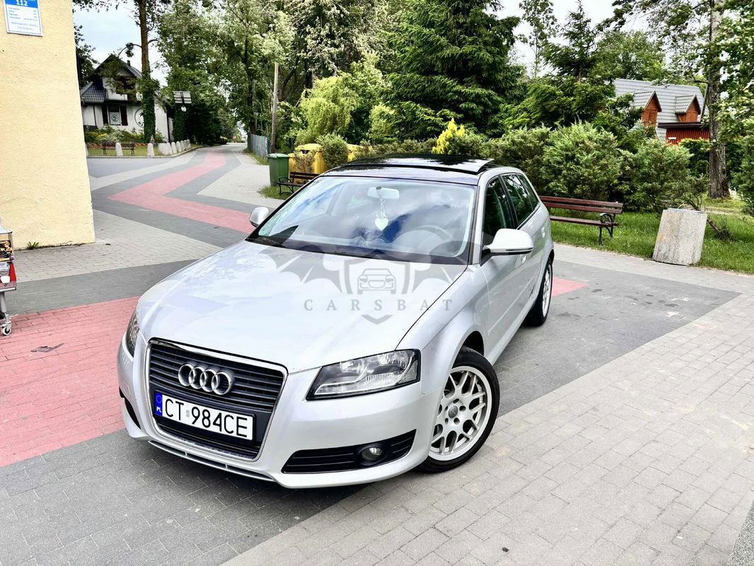 Audi A3 8P 2009
