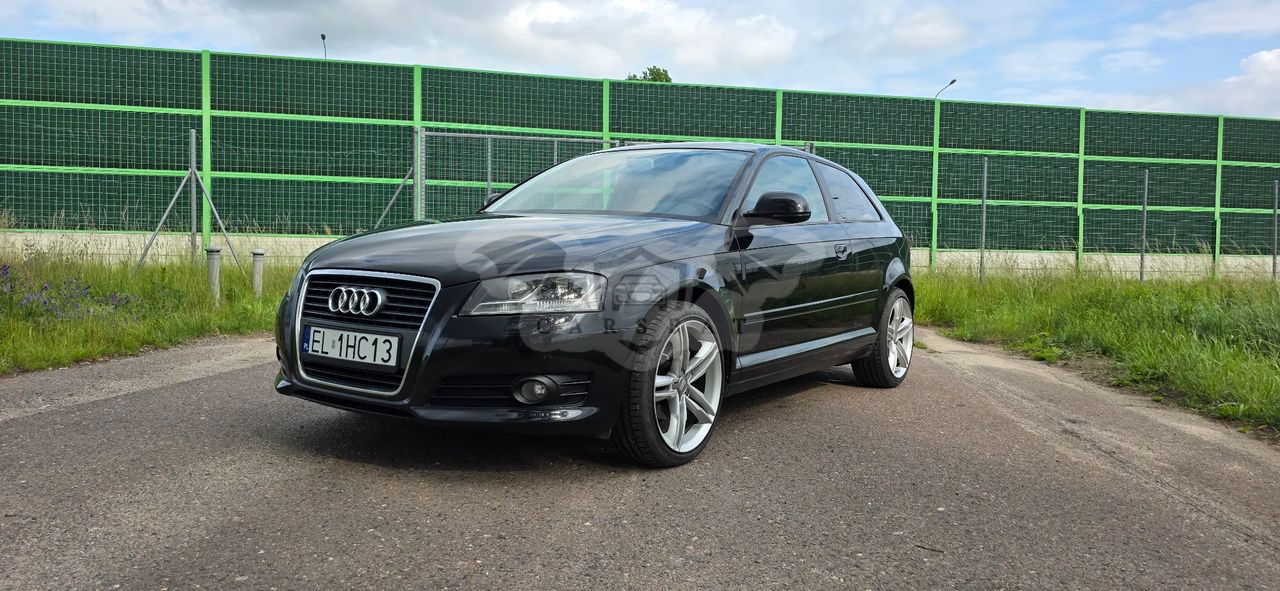 Audi A3 8P 1.9 TDI DPF Ambition 2010