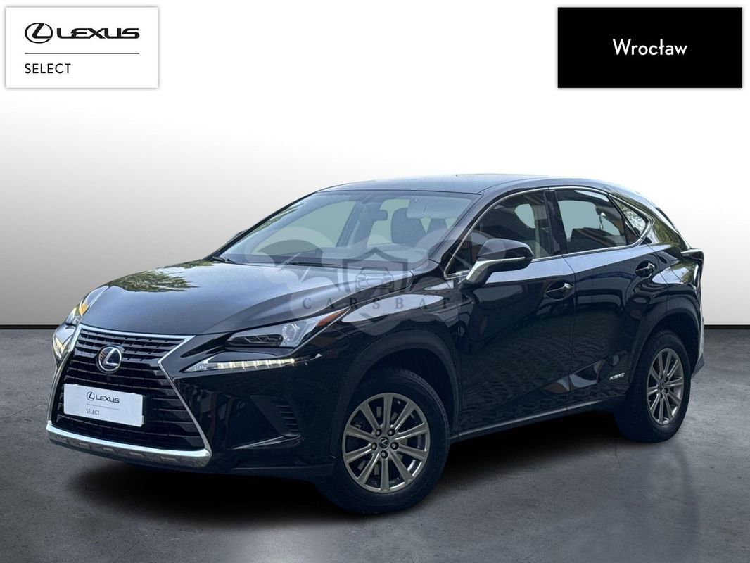 Lexus NX I 2021