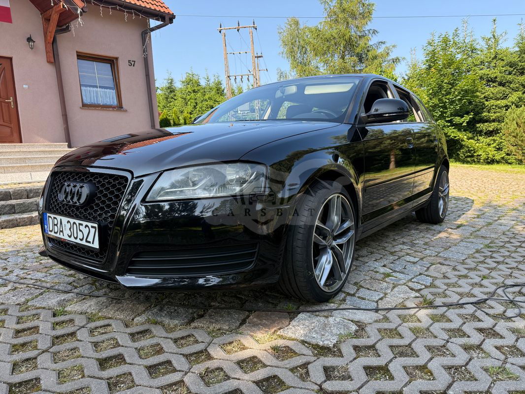 Audi A3 8P 1.9 TDI Ambition 2008