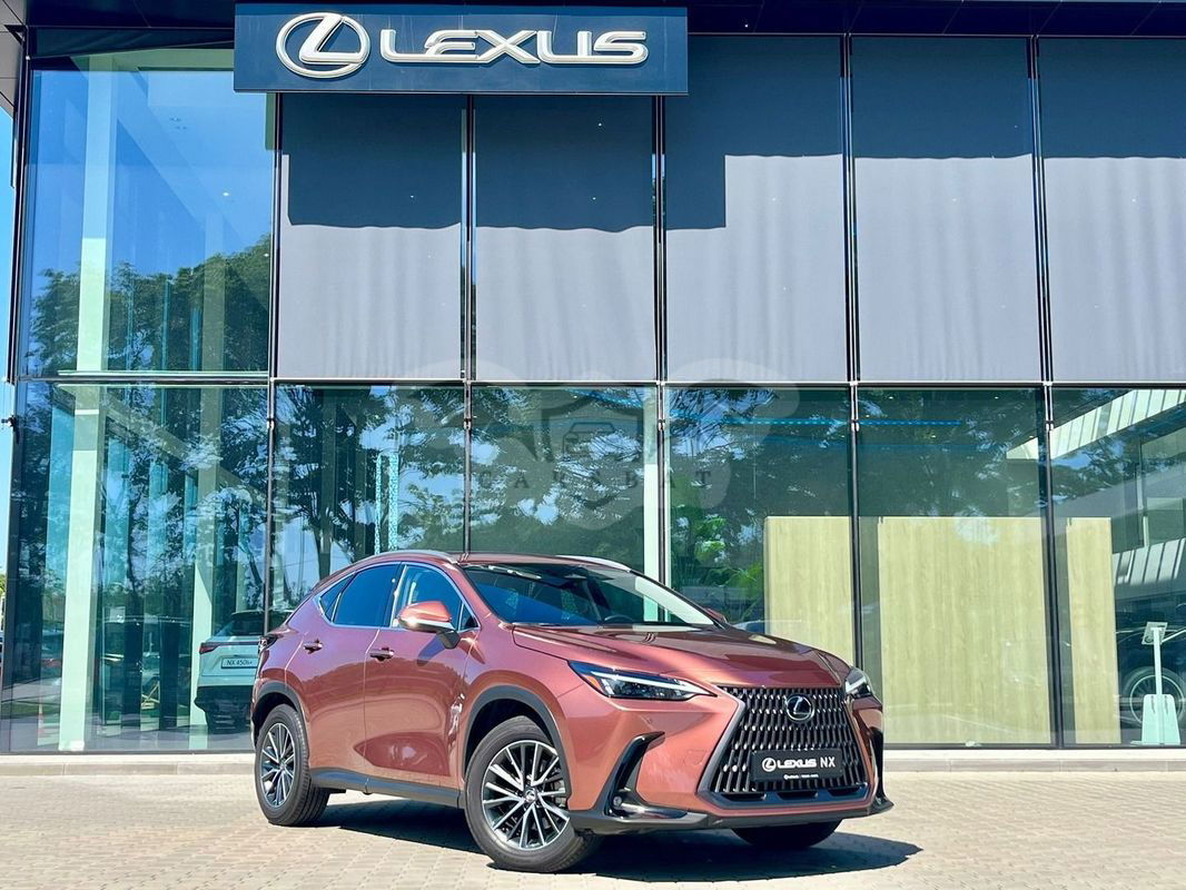 Lexus NX II 2024