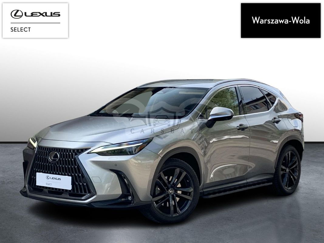 Lexus NX II 2021