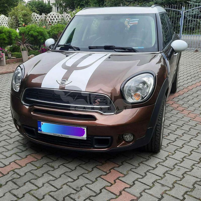 Mini Countryman 2012