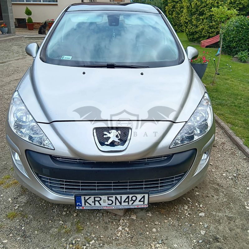 Peugeot 308 T7 150 THP Platinum 2007