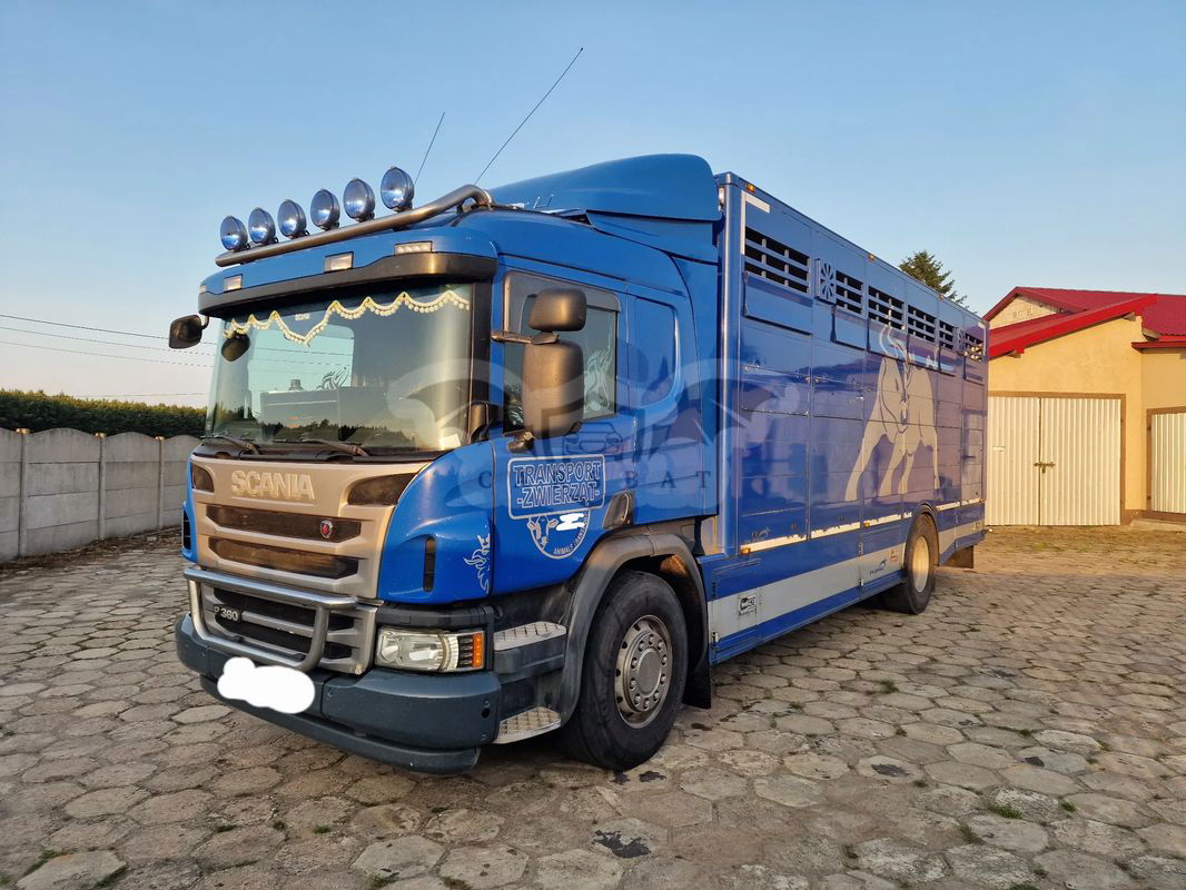 Scania P-series 2014