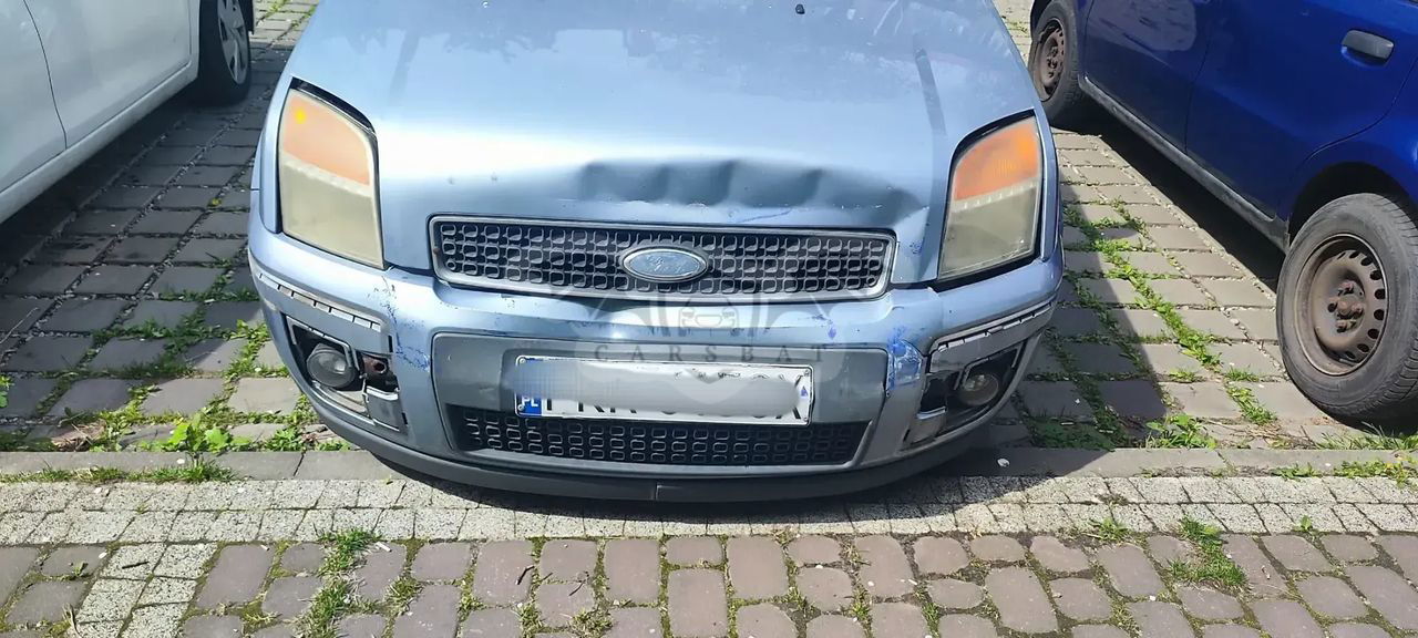 Ford Fusion 1.6 TDCi Trend 2007