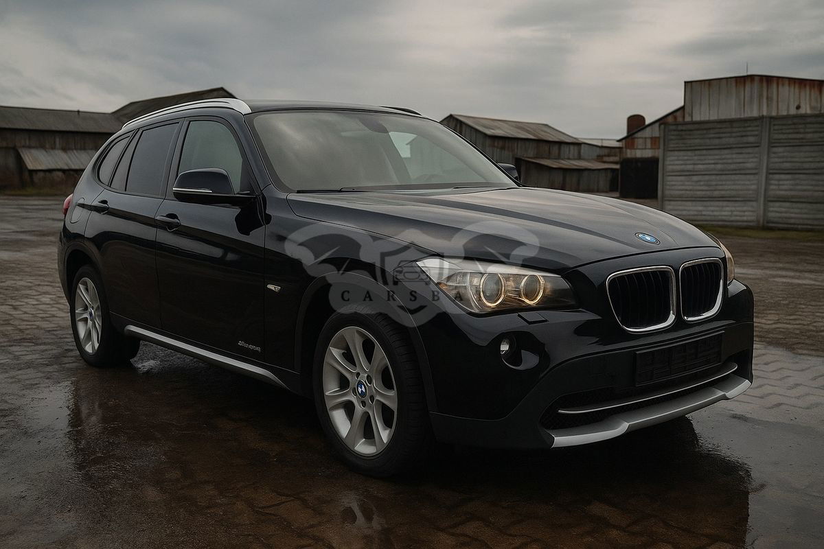 BMW X1 E84 xDrive25i 2010