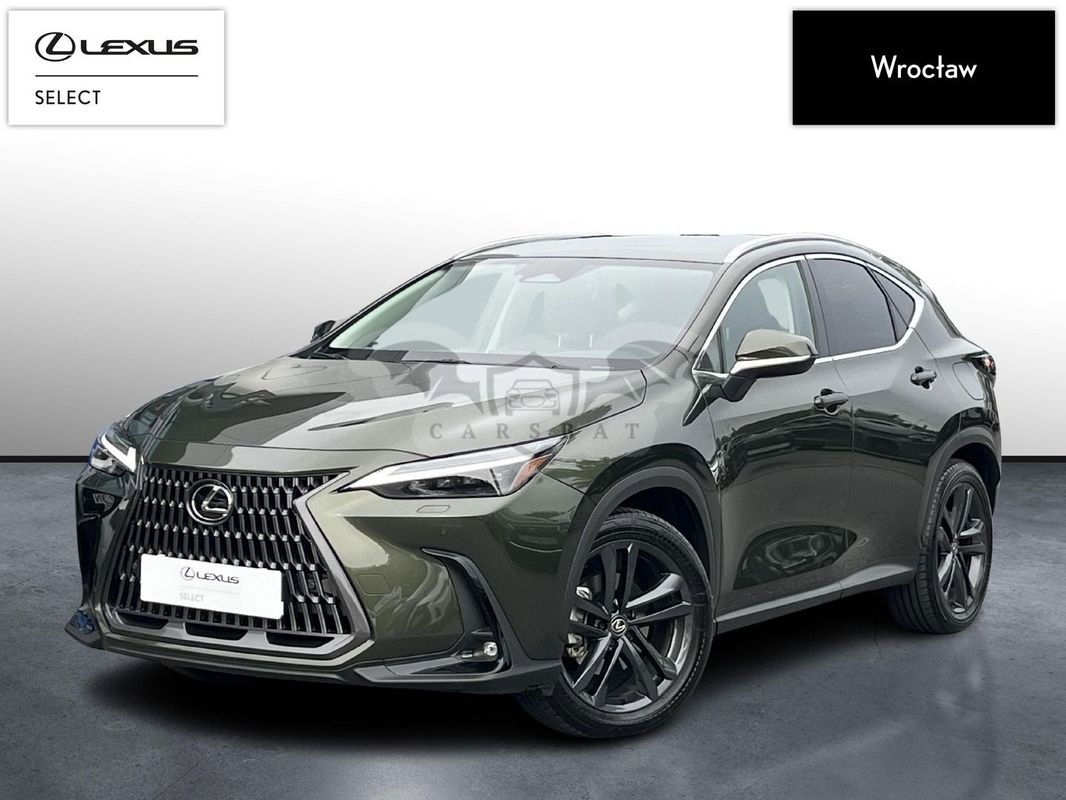 Lexus NX II 2024