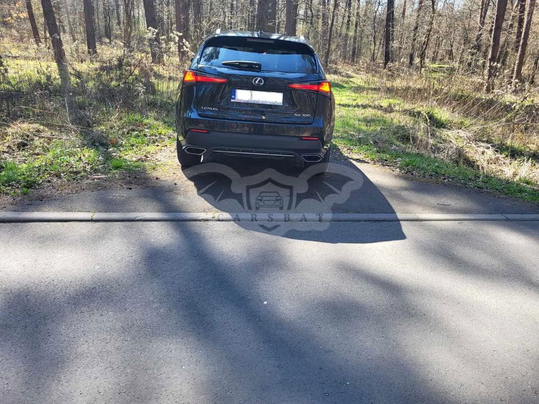 Lexus NX I 300 F Sport AWD 2021