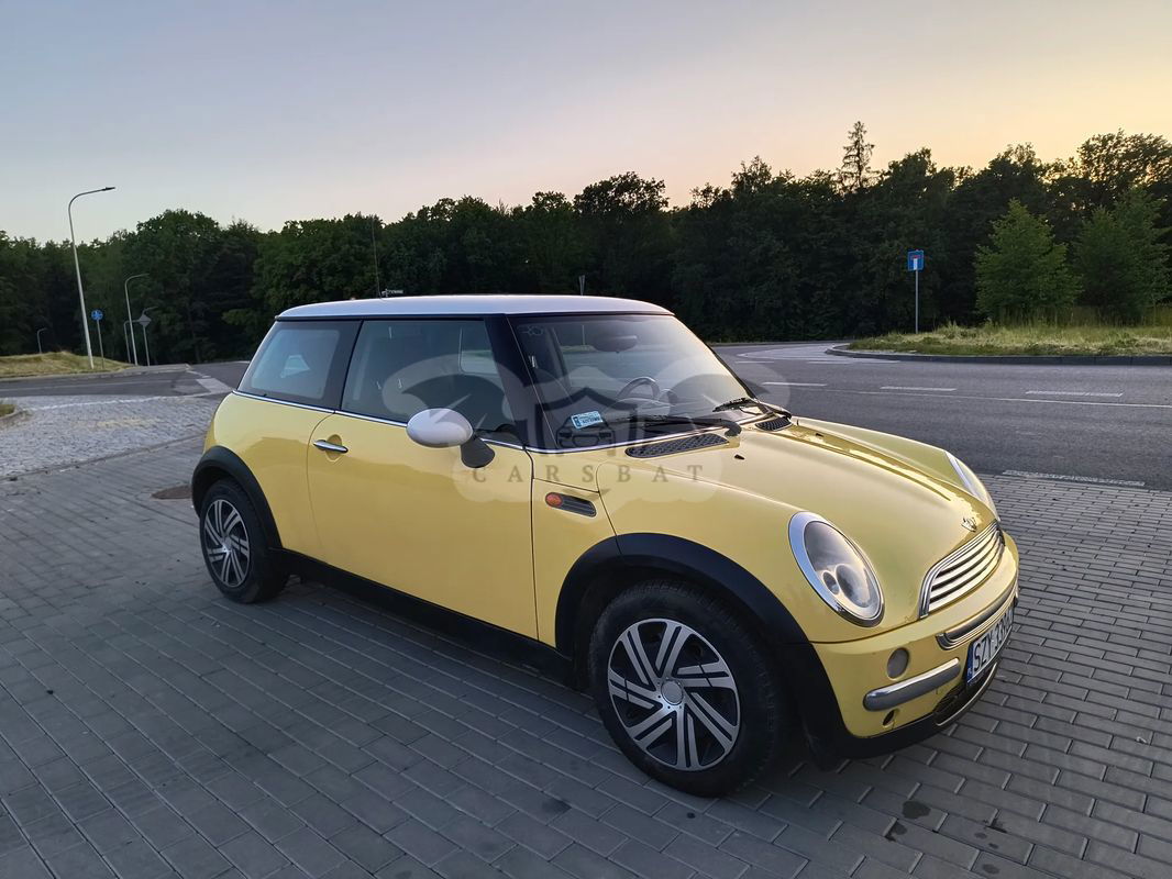 Mini Cooper pepper 2002