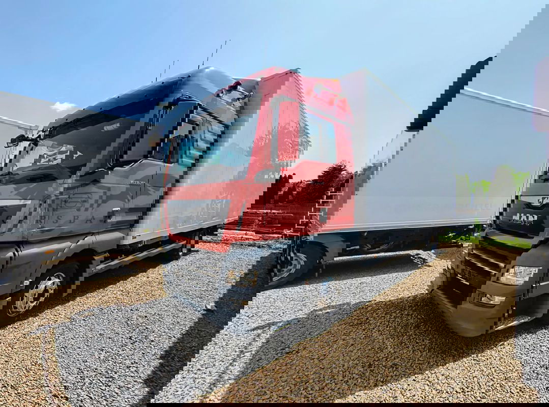 MAN TGX 2019