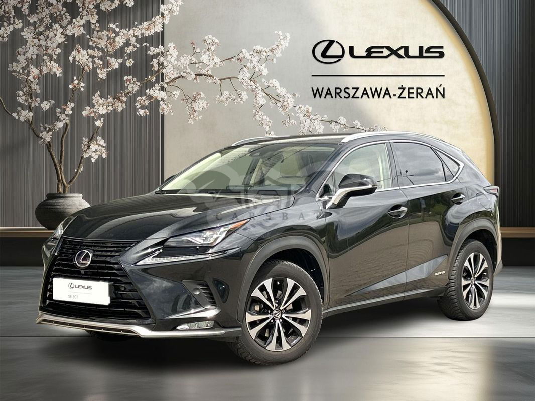 Lexus NX I 2021