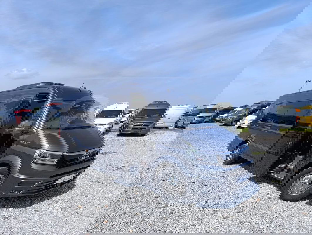 MAN TGE 2025