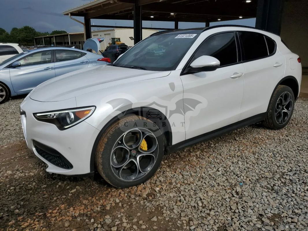 Alfa Romeo Stelvio 2.0 Turbo 6C Villa D'este Q4 2019