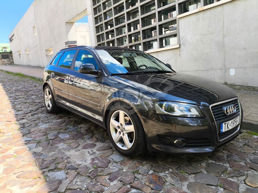 Audi A3 8P 2.0 TDI DPF Ambition 2010