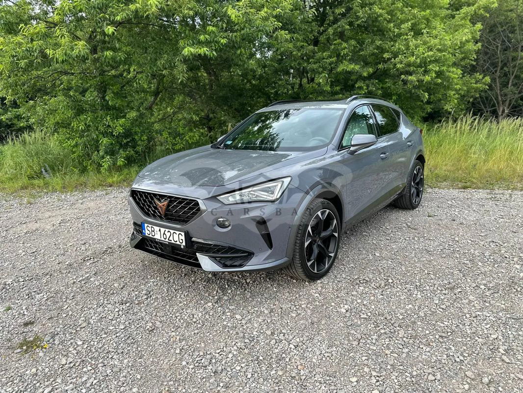 Cupra Formentor 2.0 TSI 4Drive VZ DSG 2020