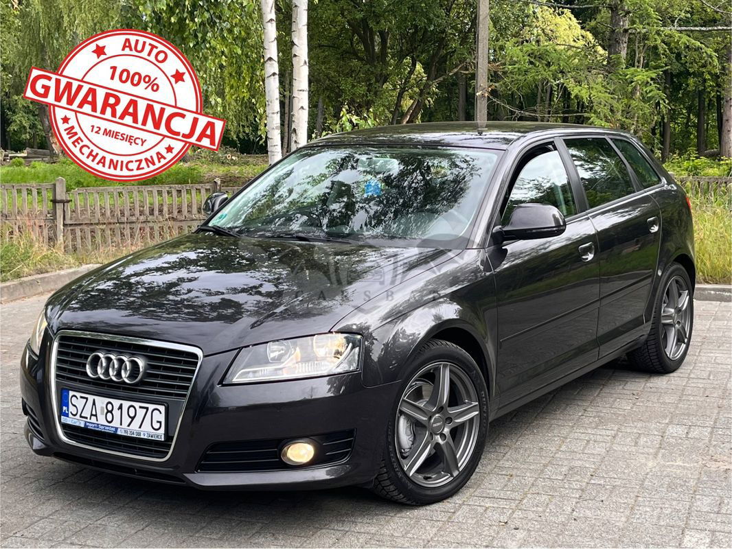 Audi A3 8P 2.0 TDI DPF Ambition 2010