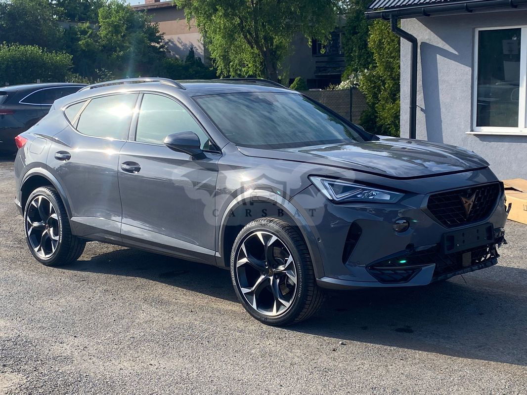 Cupra Formentor 2.0 TSI 4Drive DSG 2023