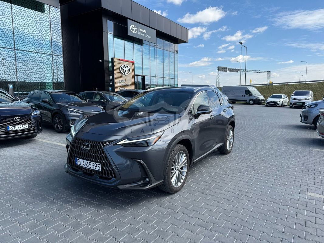 Lexus NX II 2023