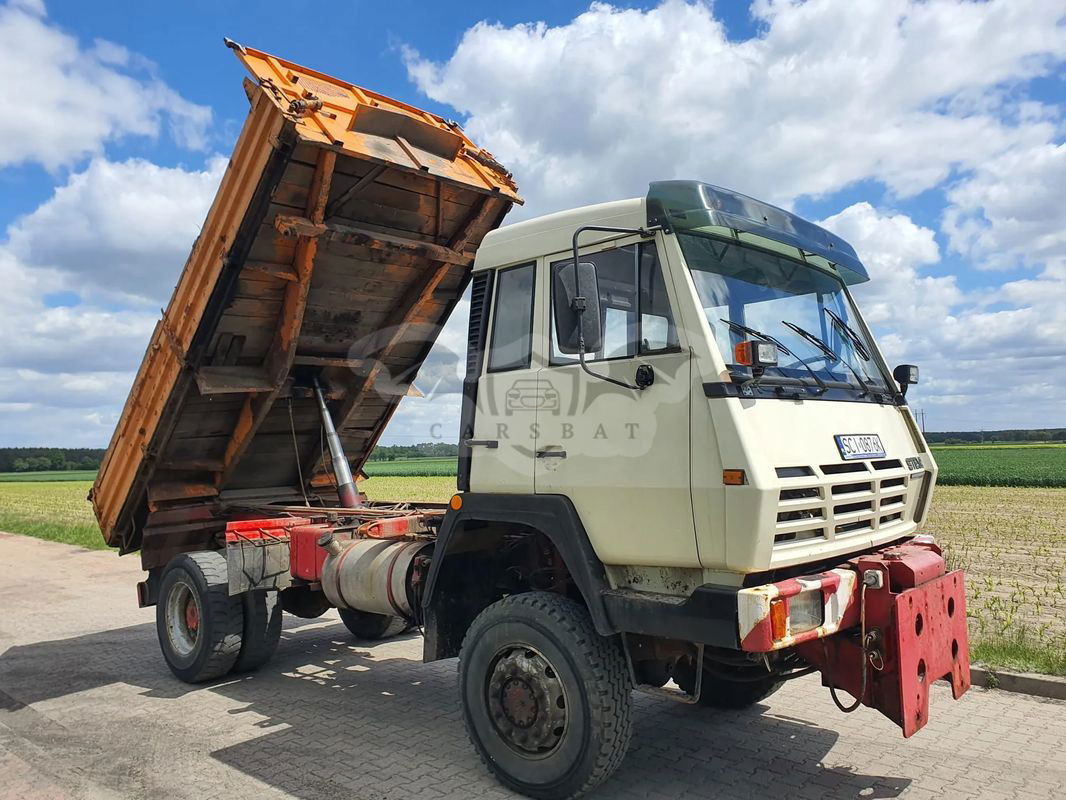 Steyr 19S 1990