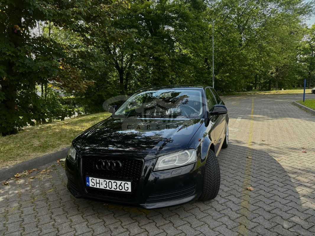 Audi A3 8P 1.6 Attraction 2009