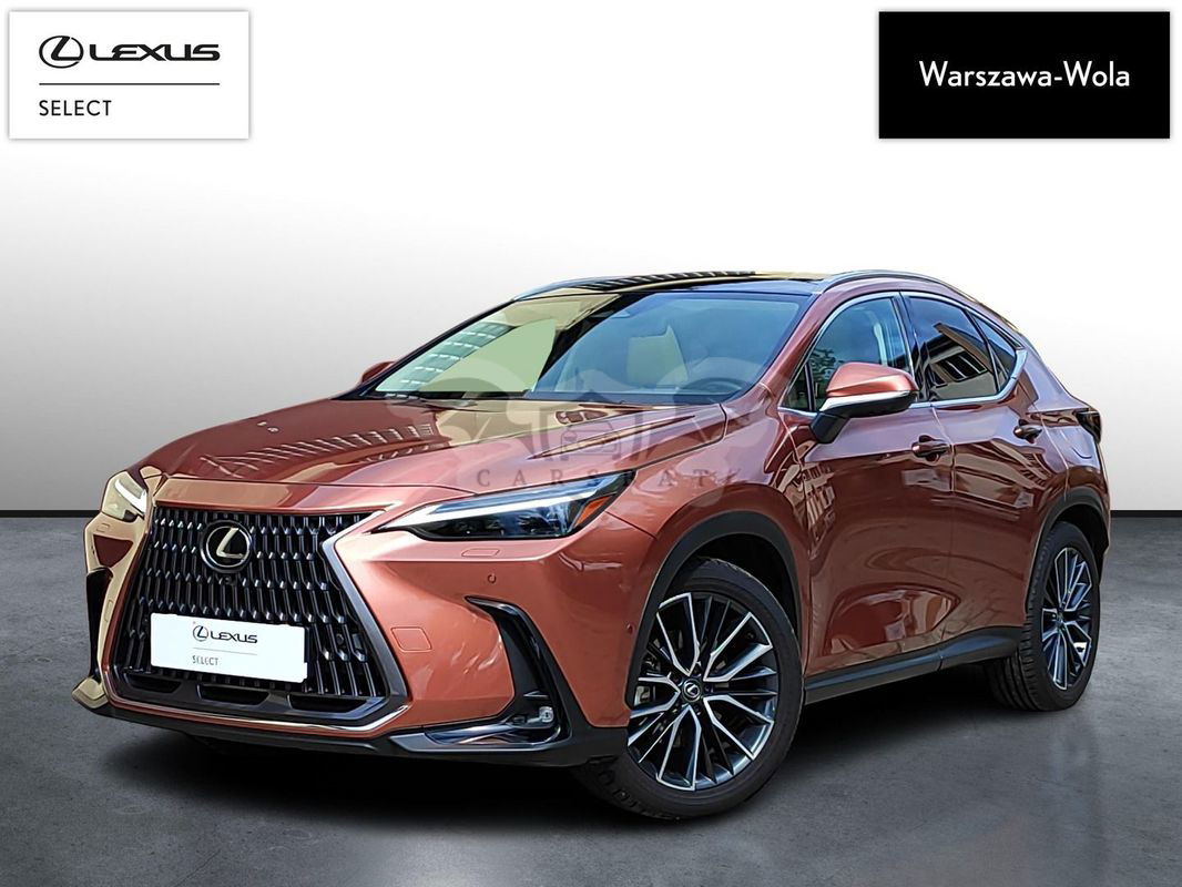 Lexus NX II 2024