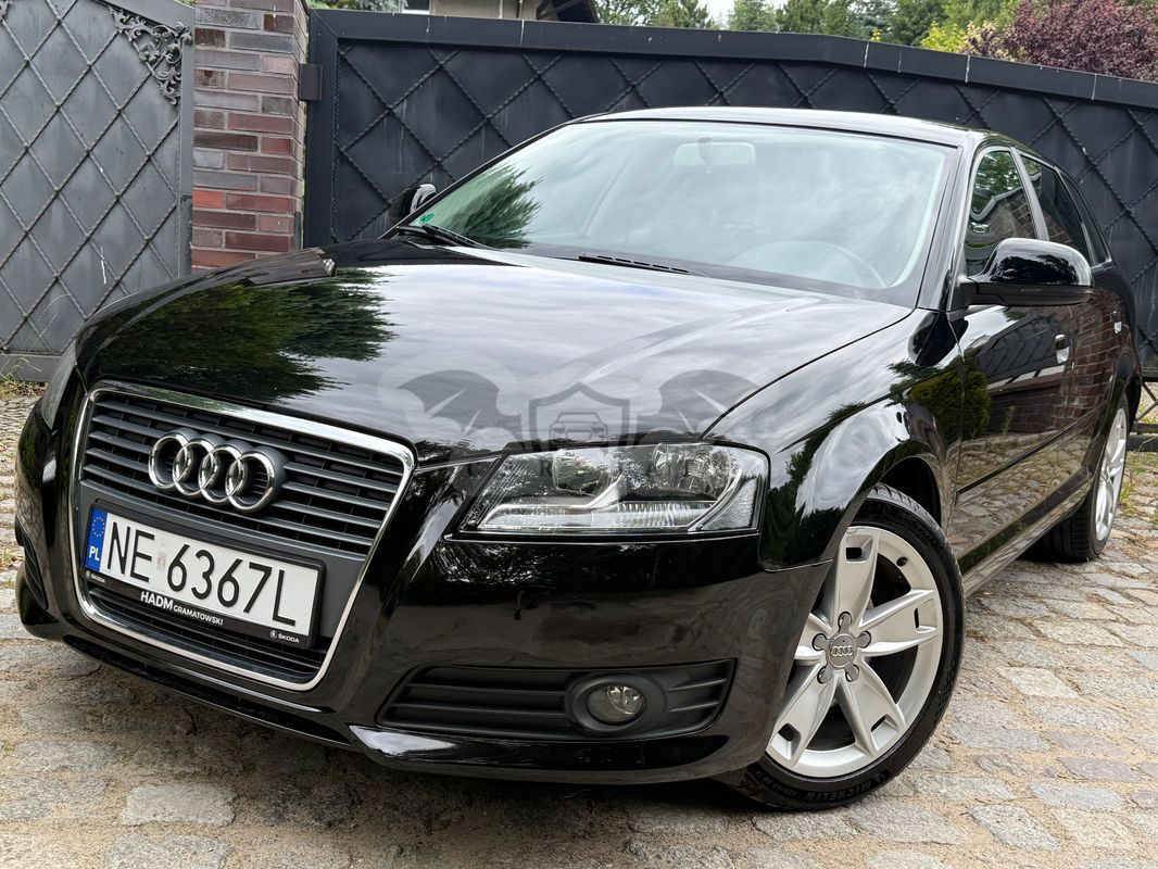 Audi A3 8P 2.0 TDI Sportback DPF Ambition 2009