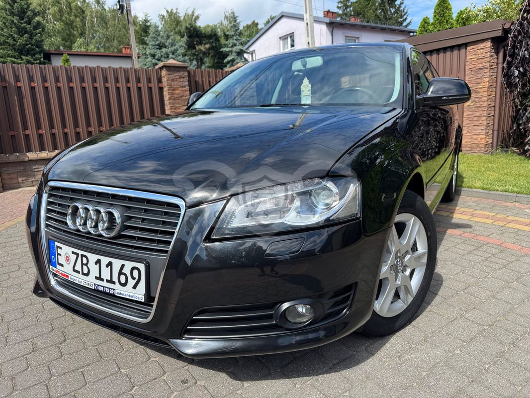 Audi A3 8P 1.6 Ambition 2009