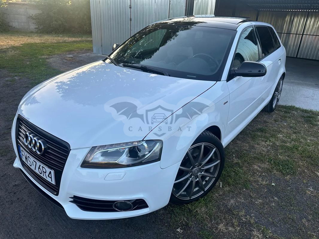 Audi A3 8P 2.0 TDI Sportback DPF S line Sportpaket (plus) 2010