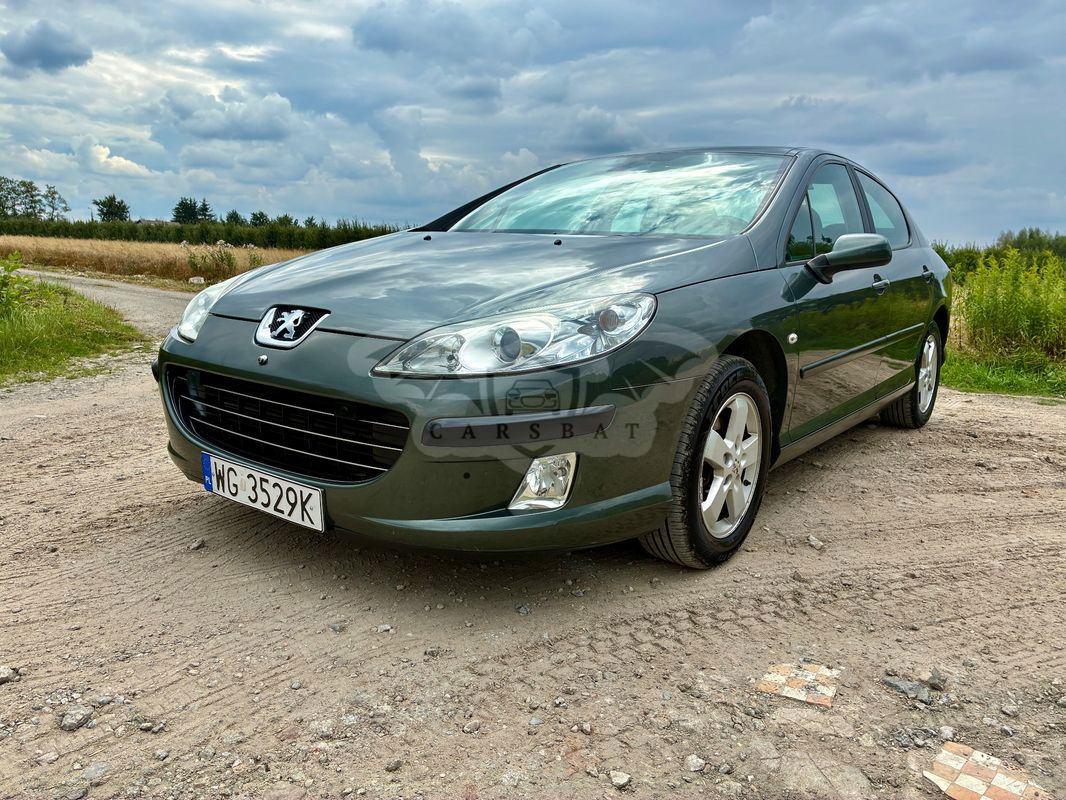 Peugeot 407 2007
