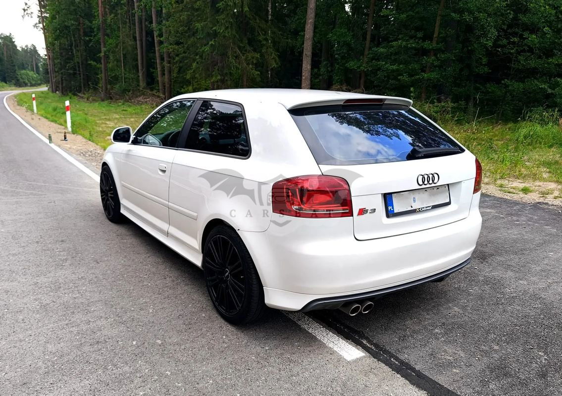 Audi A3 8P 2.0 TDI DPF Attraction 2009