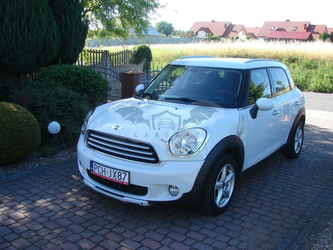 Austin Mini 2013
