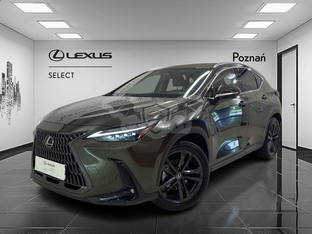Lexus NX II 2024