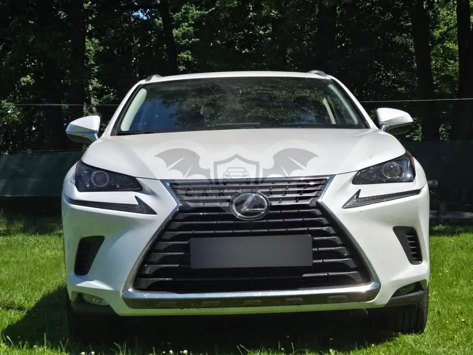 Lexus NX II 300 Business Edition AWD 2021