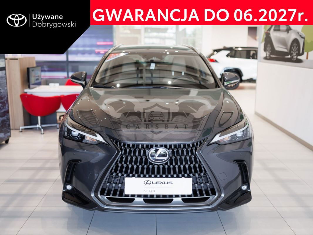 Lexus NX II 2024