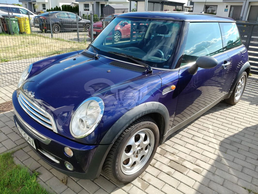 Mini One salt 2004