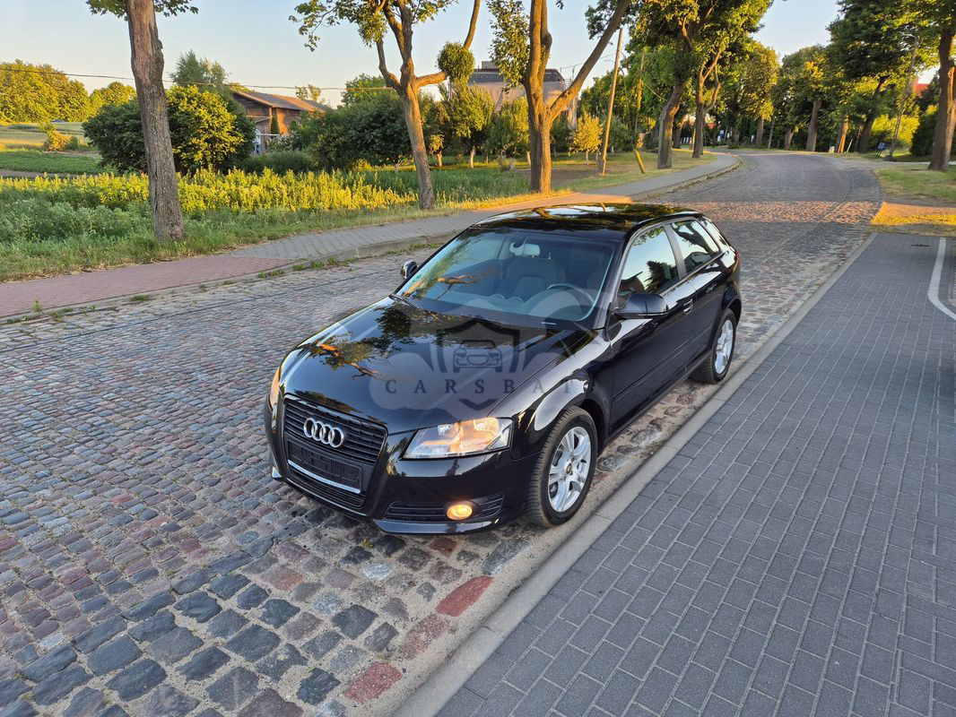 Audi A3 8P 1.9 TDI Ambition 2009