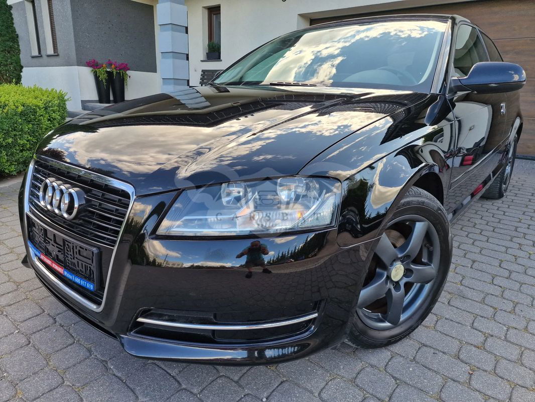 Audi A3 8P 1.6 Attraction 2010