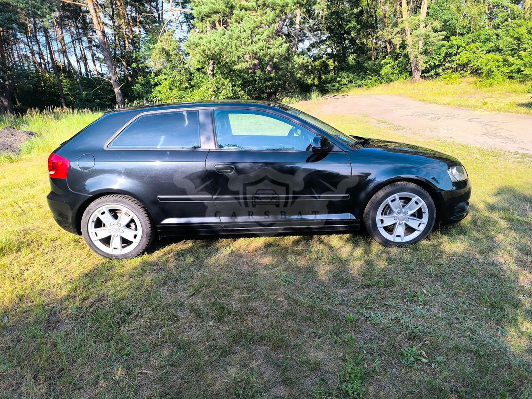 Audi A3 8P 1.8 TFSI Ambition 2009