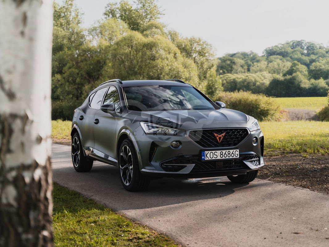 Cupra Formentor VZ 2.0 TSI 4Drive DSG 2022