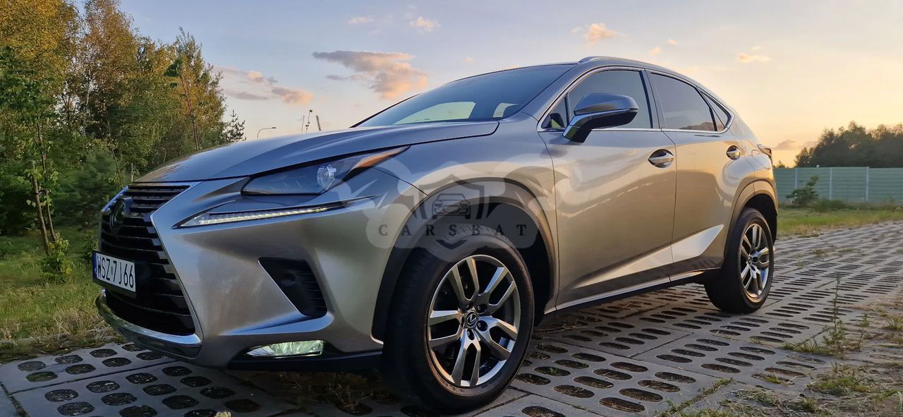 Lexus NX I 300 Business Edition AWD 2017