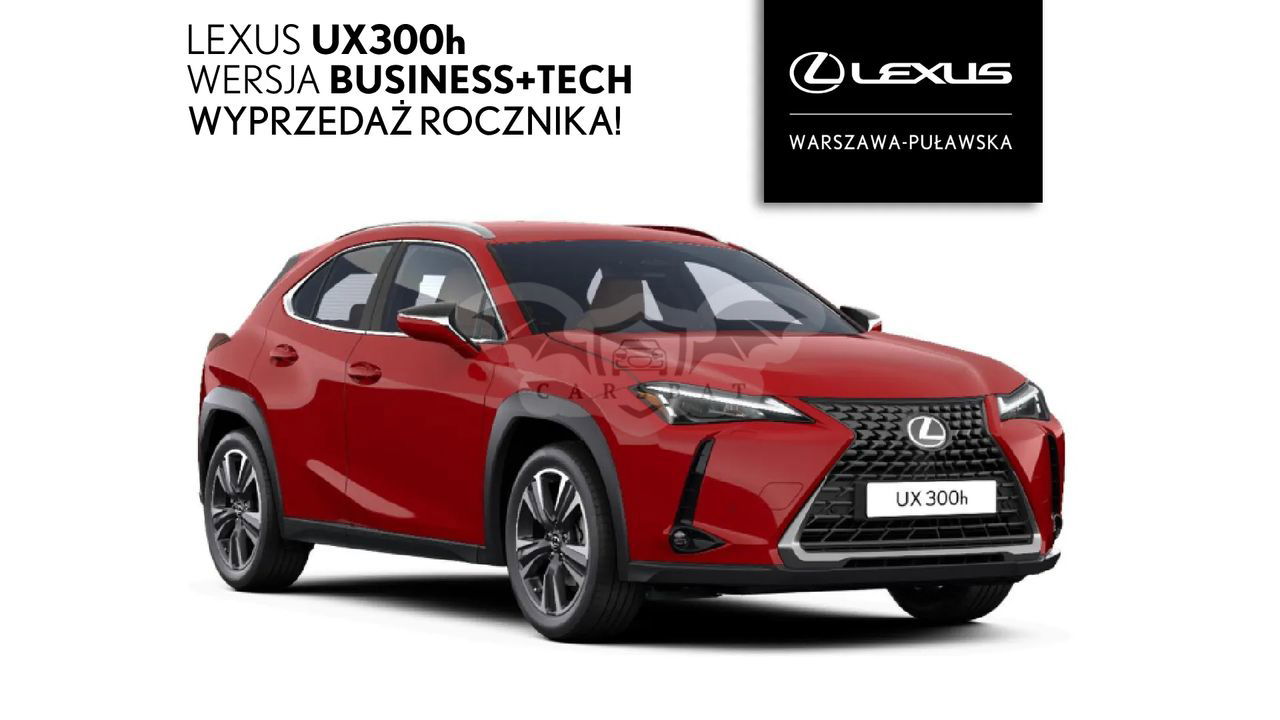 Lexus UX 300h Business 2024