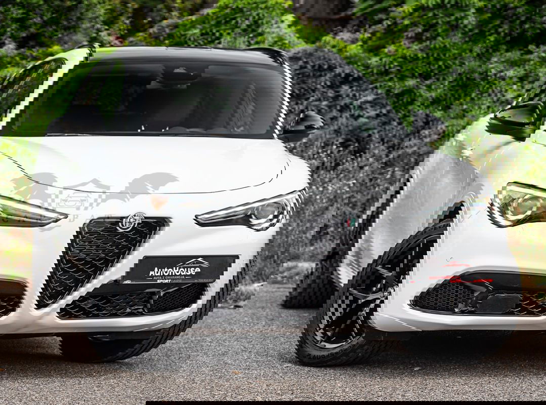 Alfa Romeo Stelvio 2.0 Turbo 16V AT8-Q4 Executive 2019