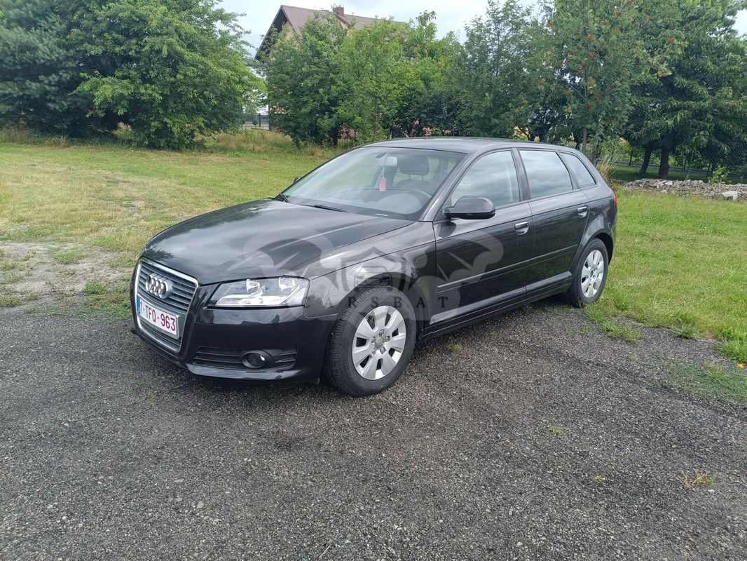 Audi A3 8P 1.6 TDI 102g Sportback DPF 2010