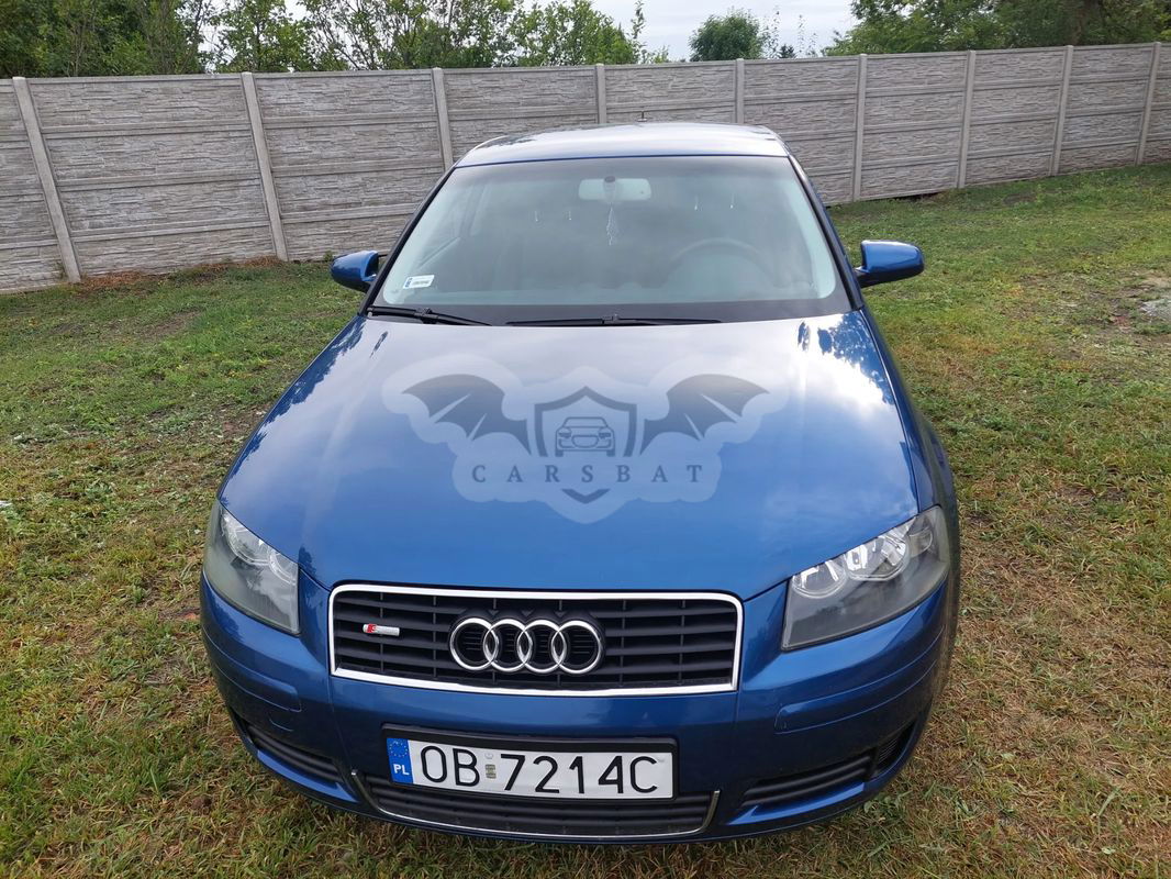 Audi A3 8P 1.6 Ambiente 2003