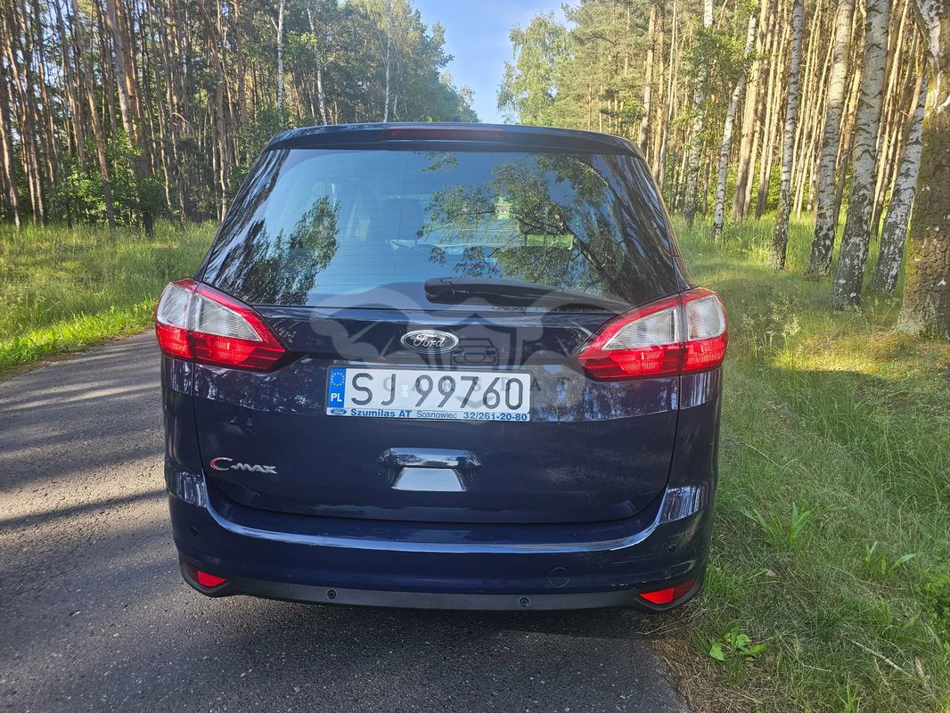 Ford Grand C-Max 2013