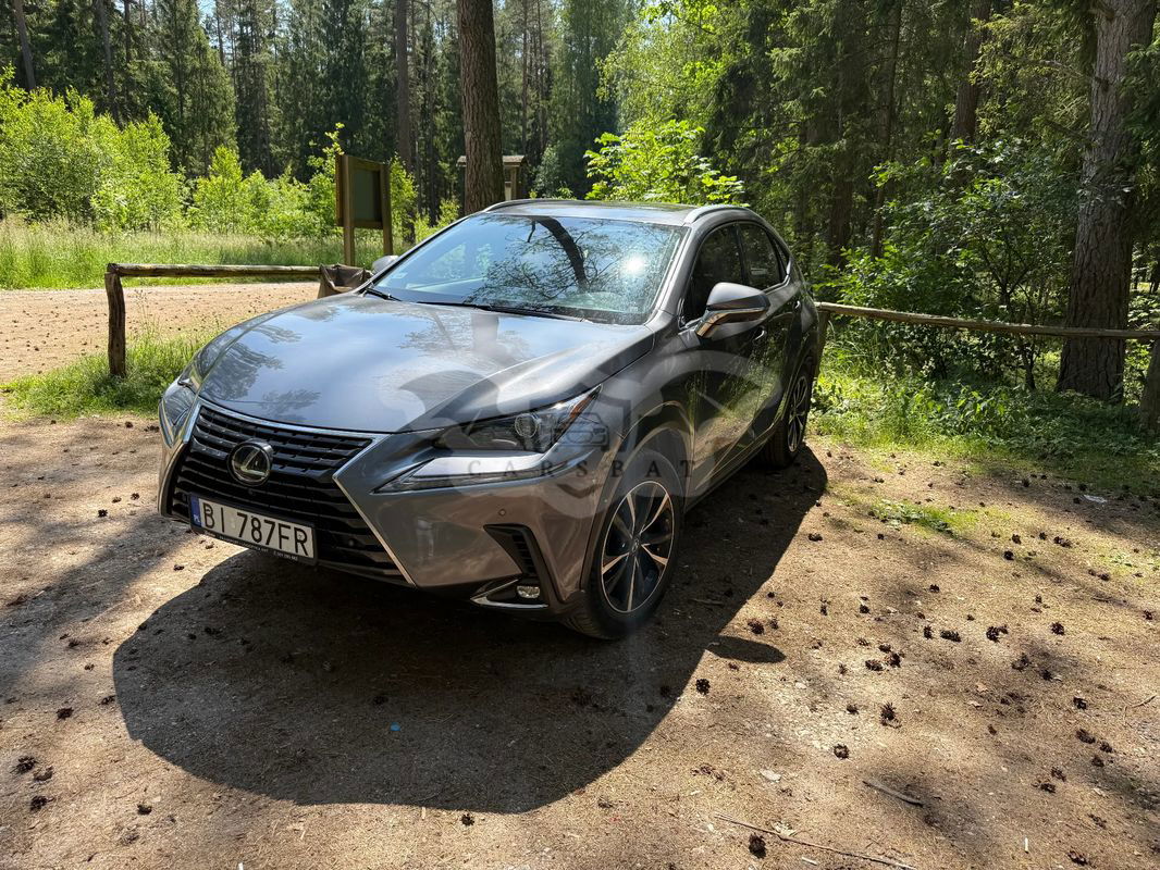 Lexus NX I 2020