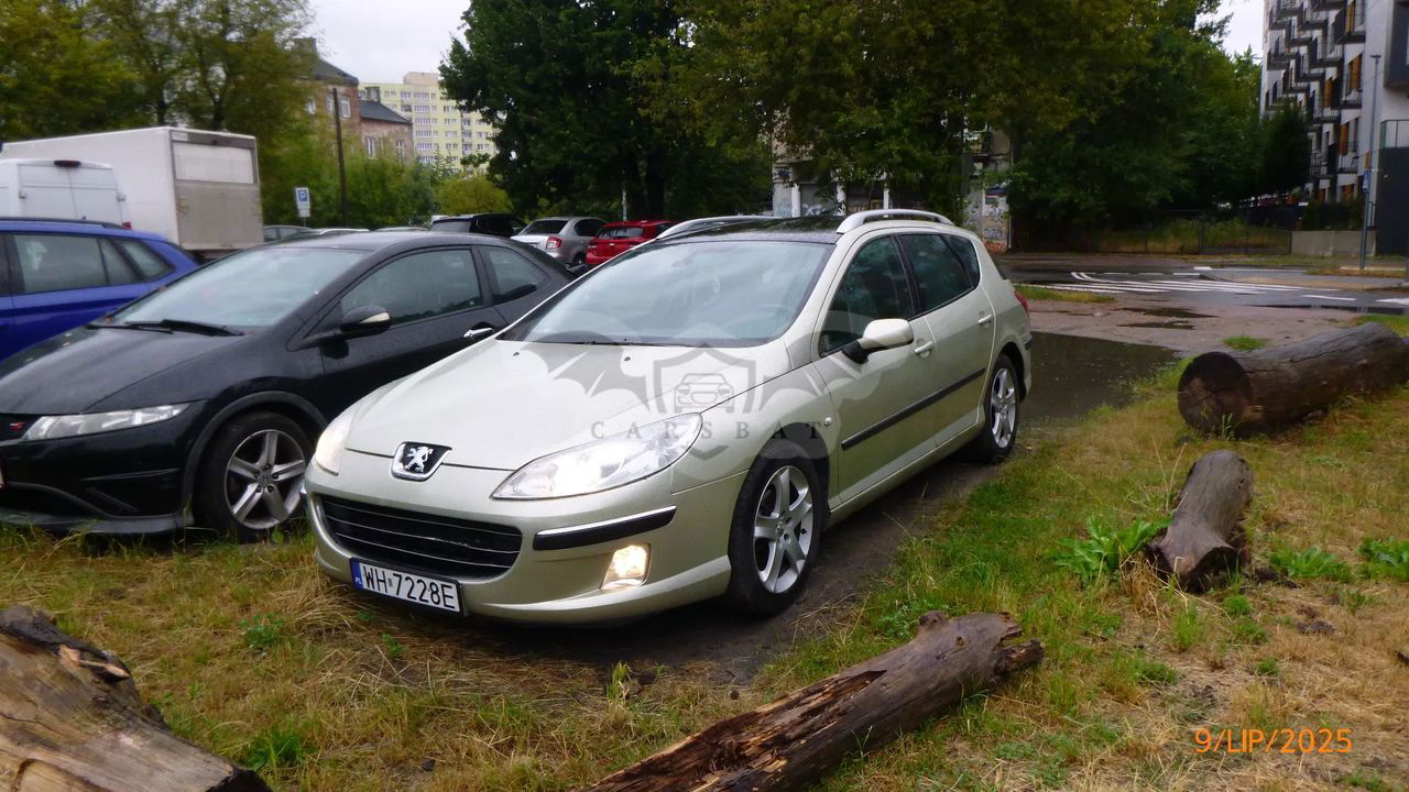 Peugeot 407 2.0 Premium 2007