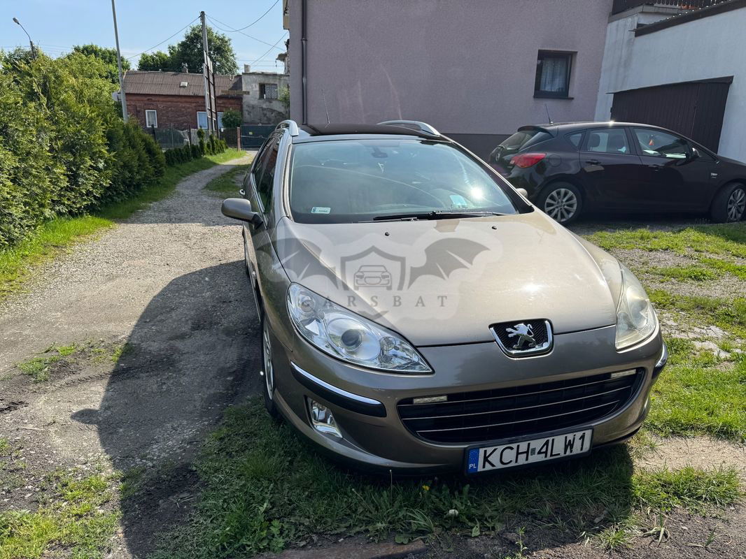 Peugeot 407 2007