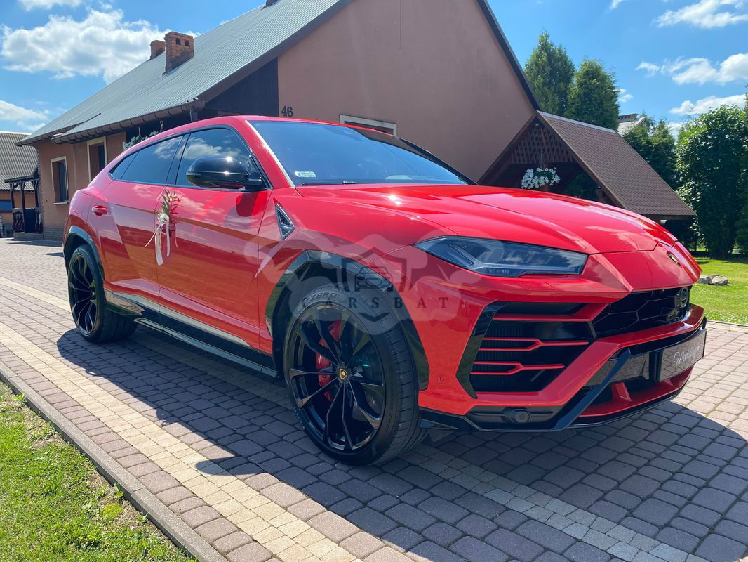 Lamborghini Urus Standard 2019